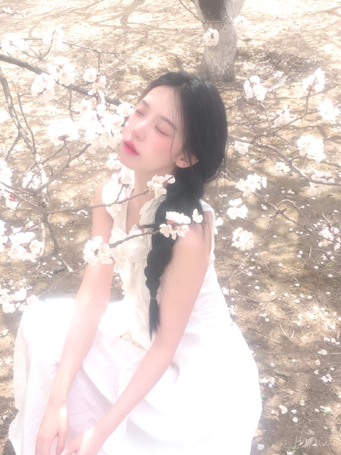 完美风暴